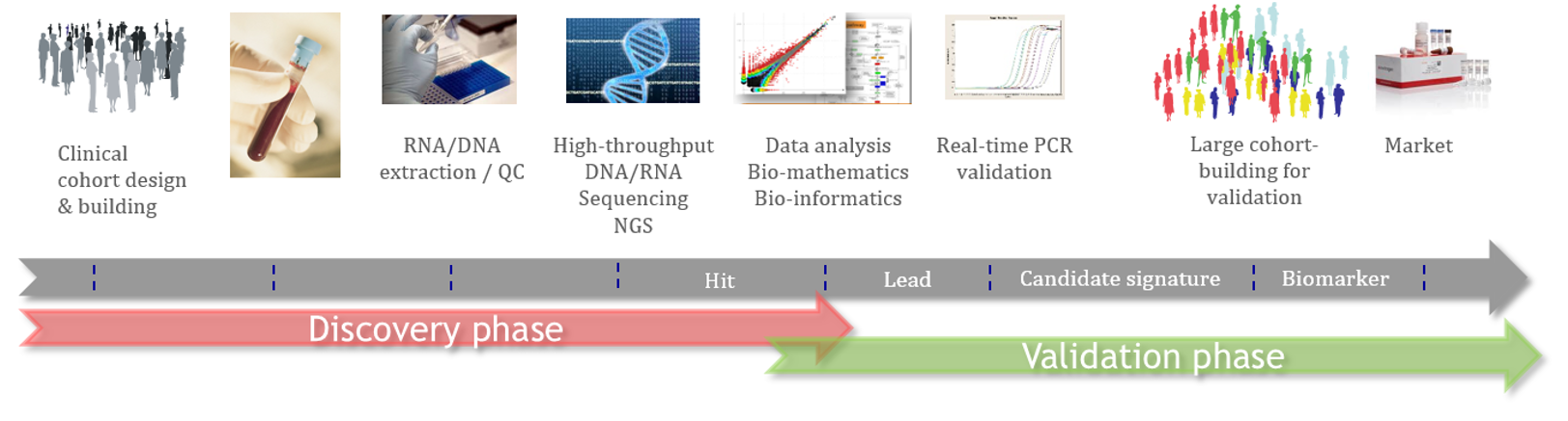 cropped-Acobiom_Process-Diagnostic-Development_20181206.png