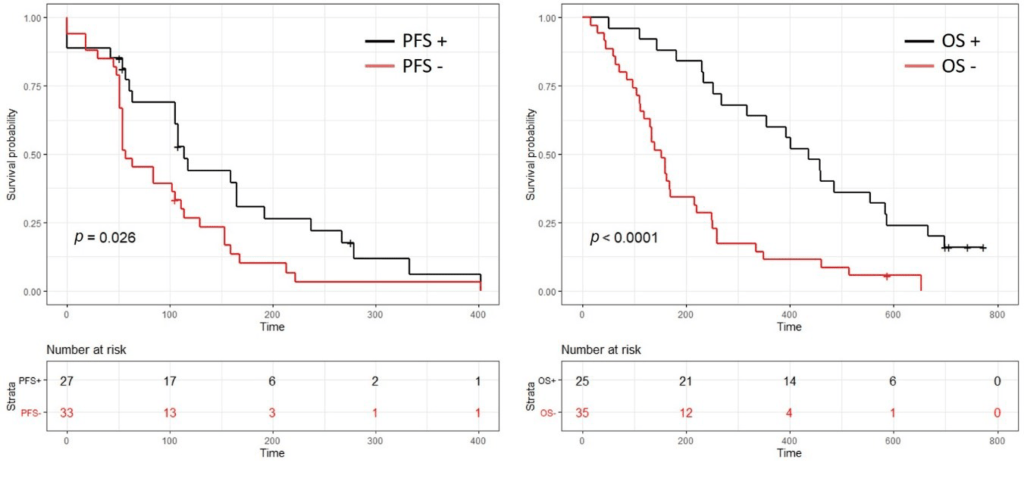 Curves showing the effects on the survival of patients with pancreatic cancer when gemcitabine treatment was positive.