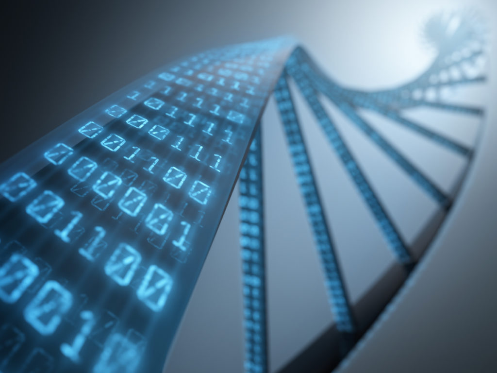 Sequence of nucleotides