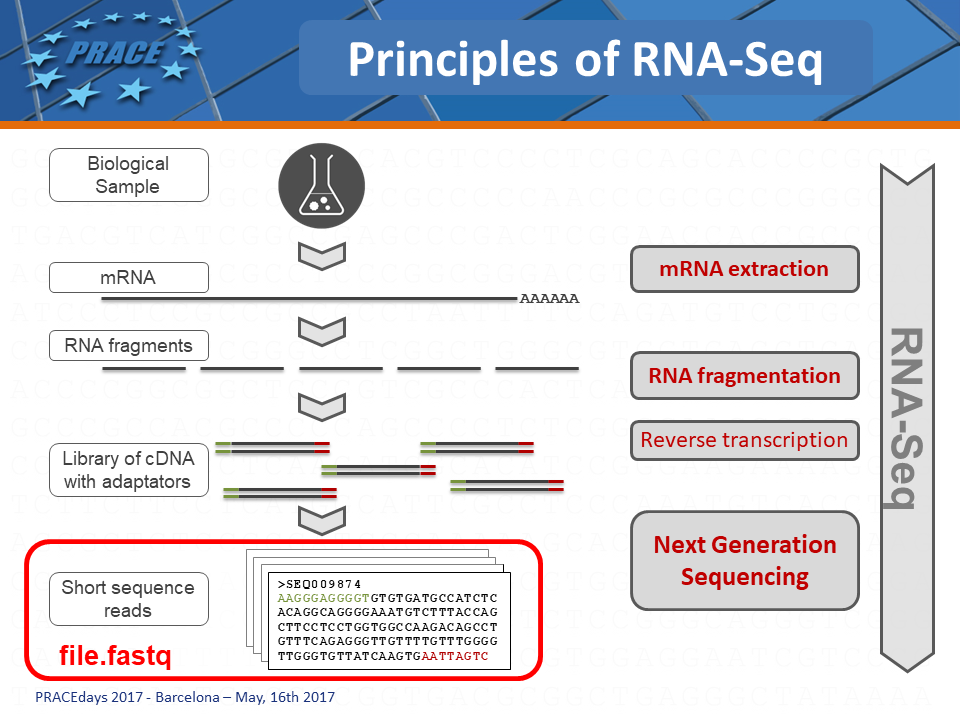 RNA-Seq : Principles by Acobiom