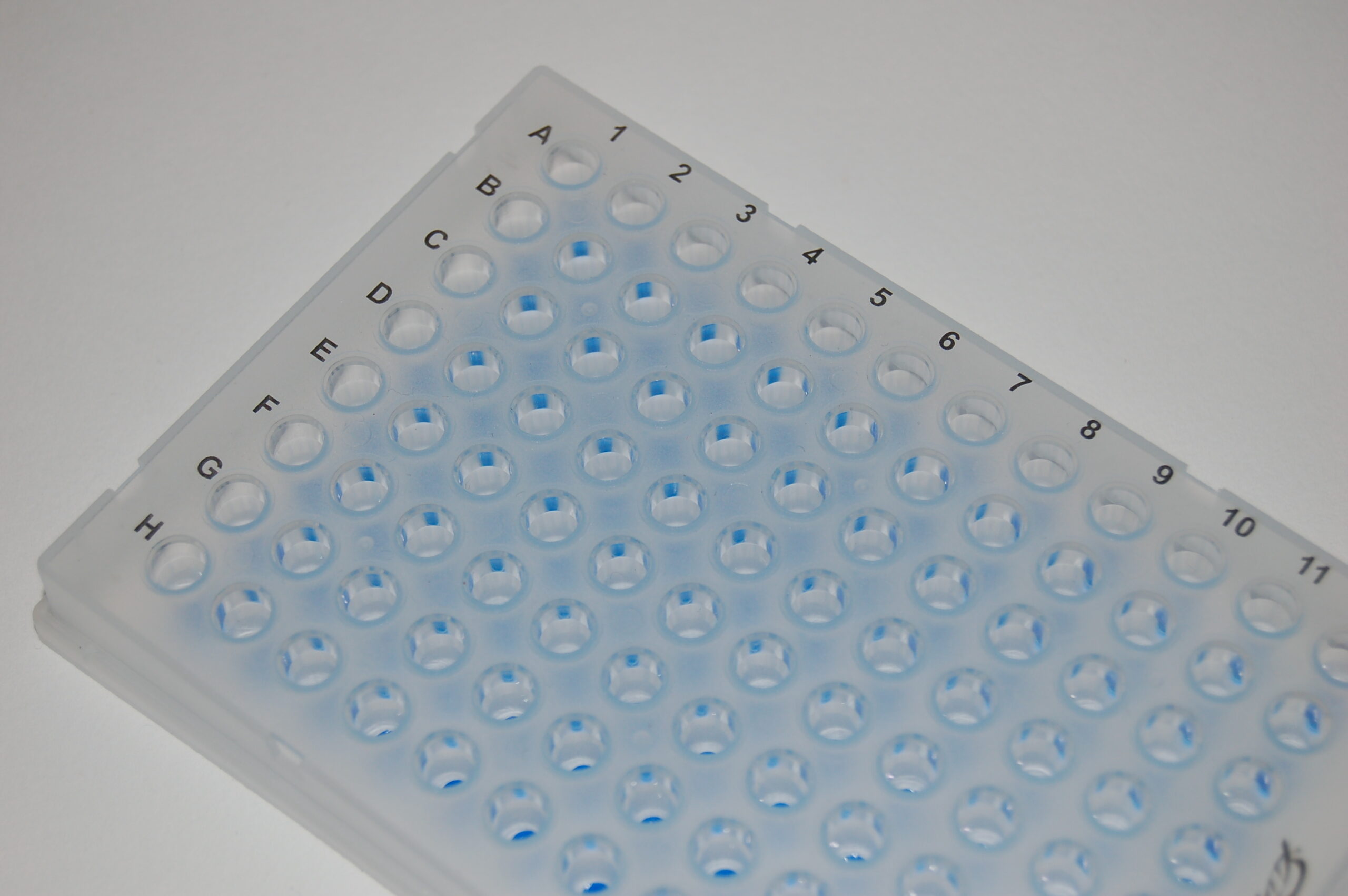 Real Time qPCR plaque