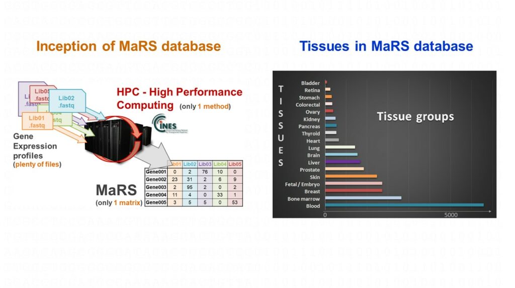 MaRS inception tissues